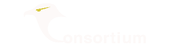 Transparent Logo - Artsits Consortium
