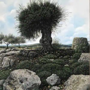 Olive Tree