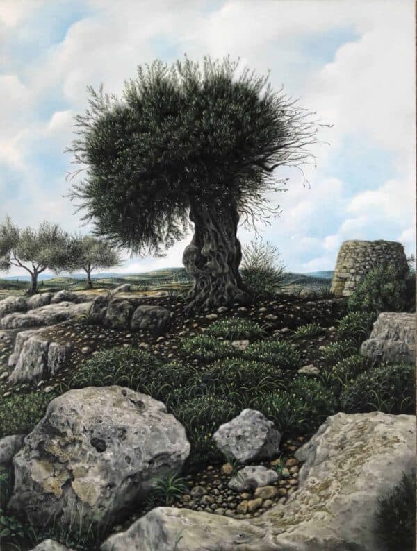 Olive Tree