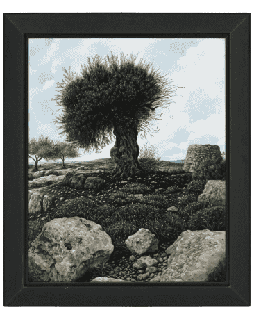 Olive Tree (Framed)