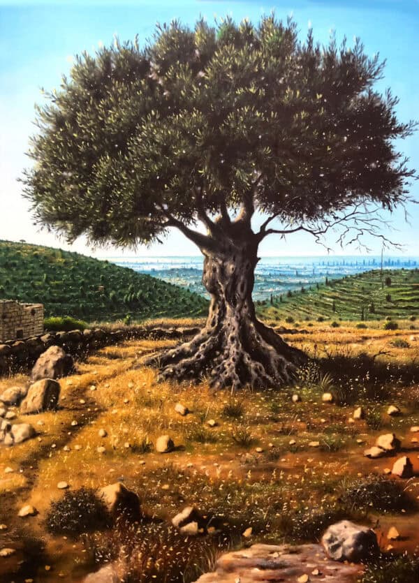 An Olive Tree on Al-Tierah Hills #2 by Salah Froukh