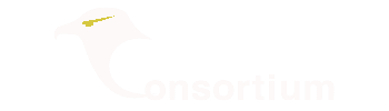 Transparent Logo - Artsits Consortium